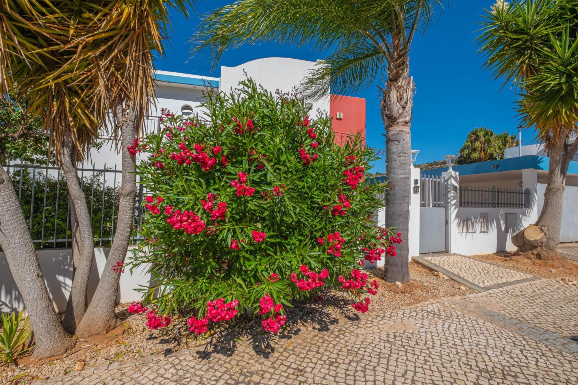 Capetown Marina Luxury Villa - Private Pool Албуфейра Экстерьер фото